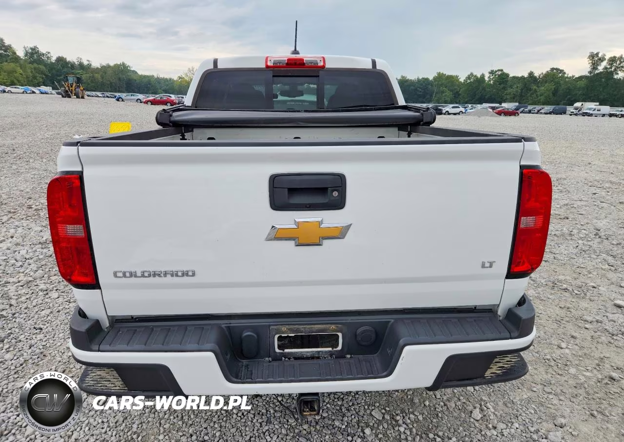 2017 Chevrolet Colorado Lt VIN:1GCGSCEAXH1168231 - 6