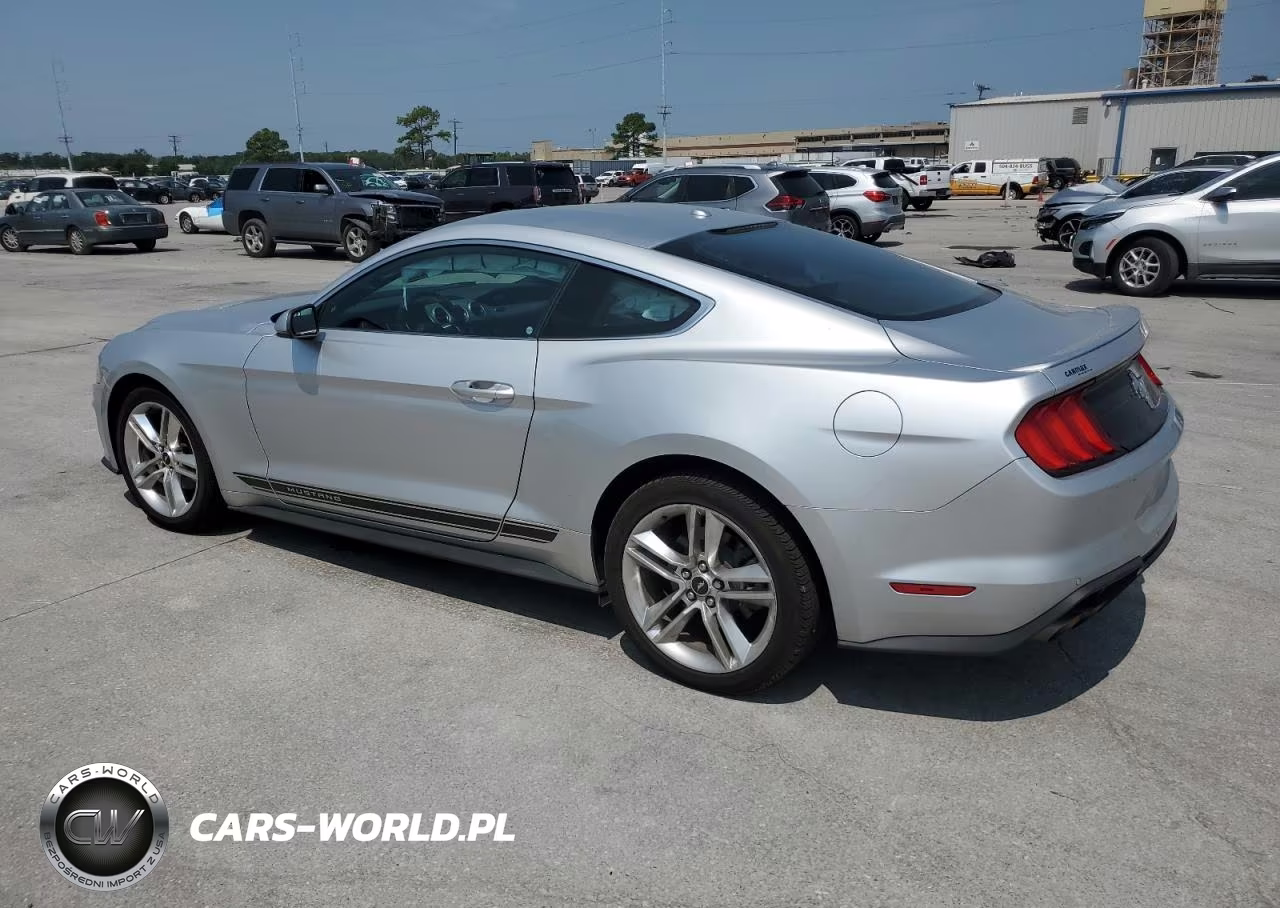 2019 Ford Mustang VIN:1FA6P8TH3K5180950 - 2