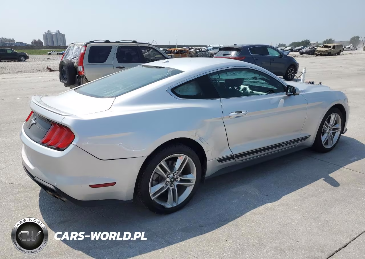 2019 Ford Mustang VIN:1FA6P8TH3K5180950 - 3