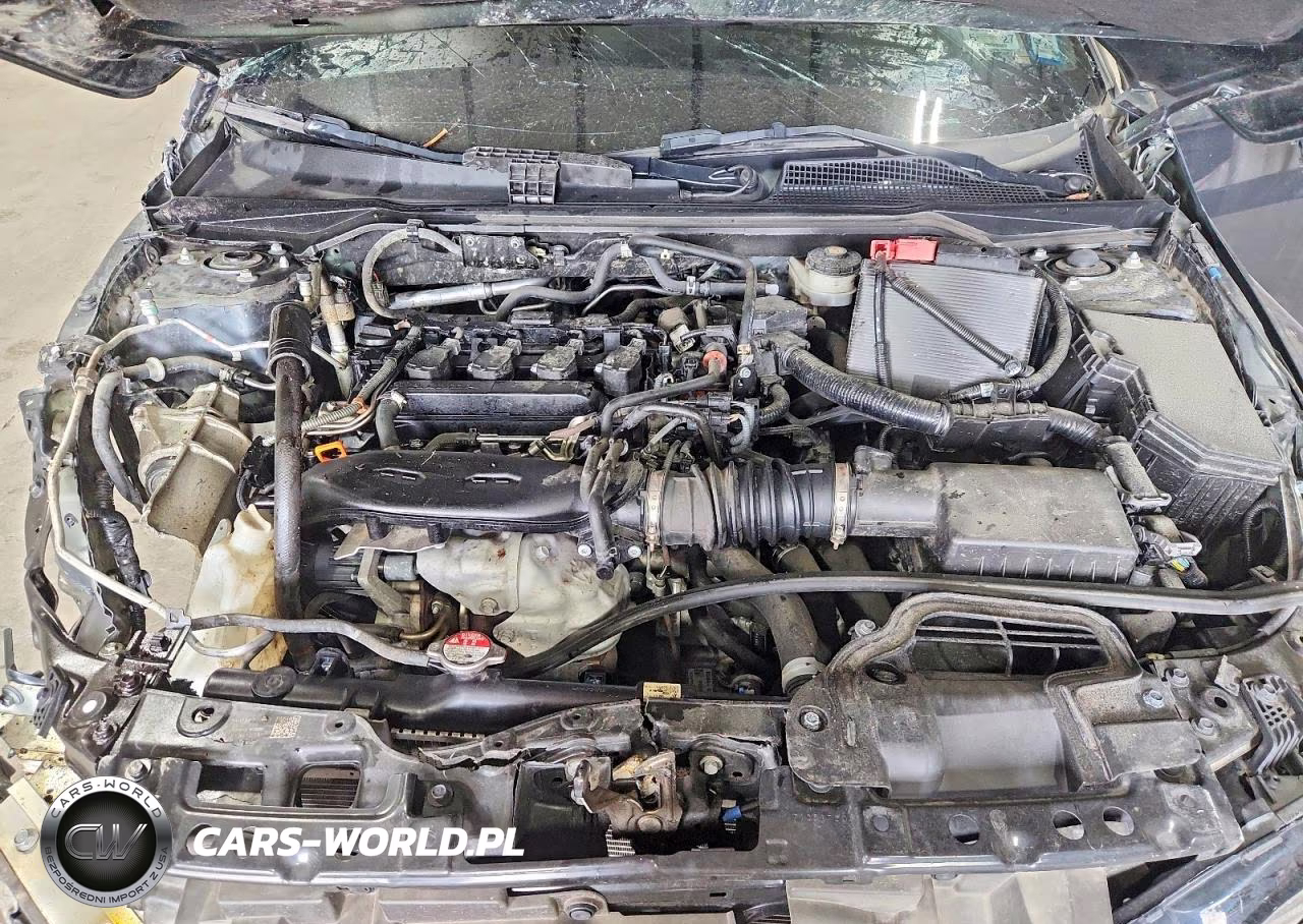 2024 Honda Civic Exl VIN:19XFL1H79RE031311 - 11