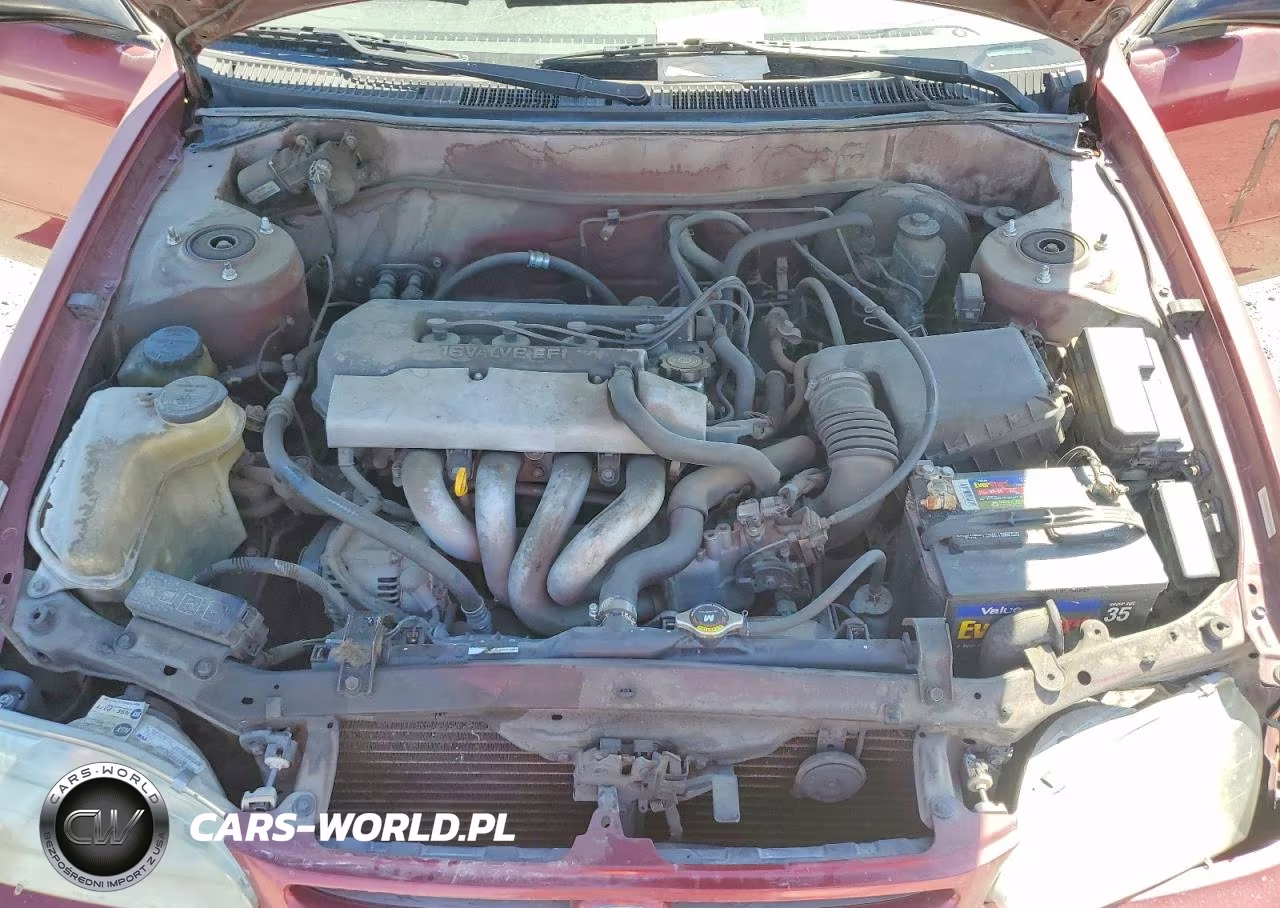 1999 Toyota Corolla Ve VIN:1NXBR12E5XZ254220 - 11