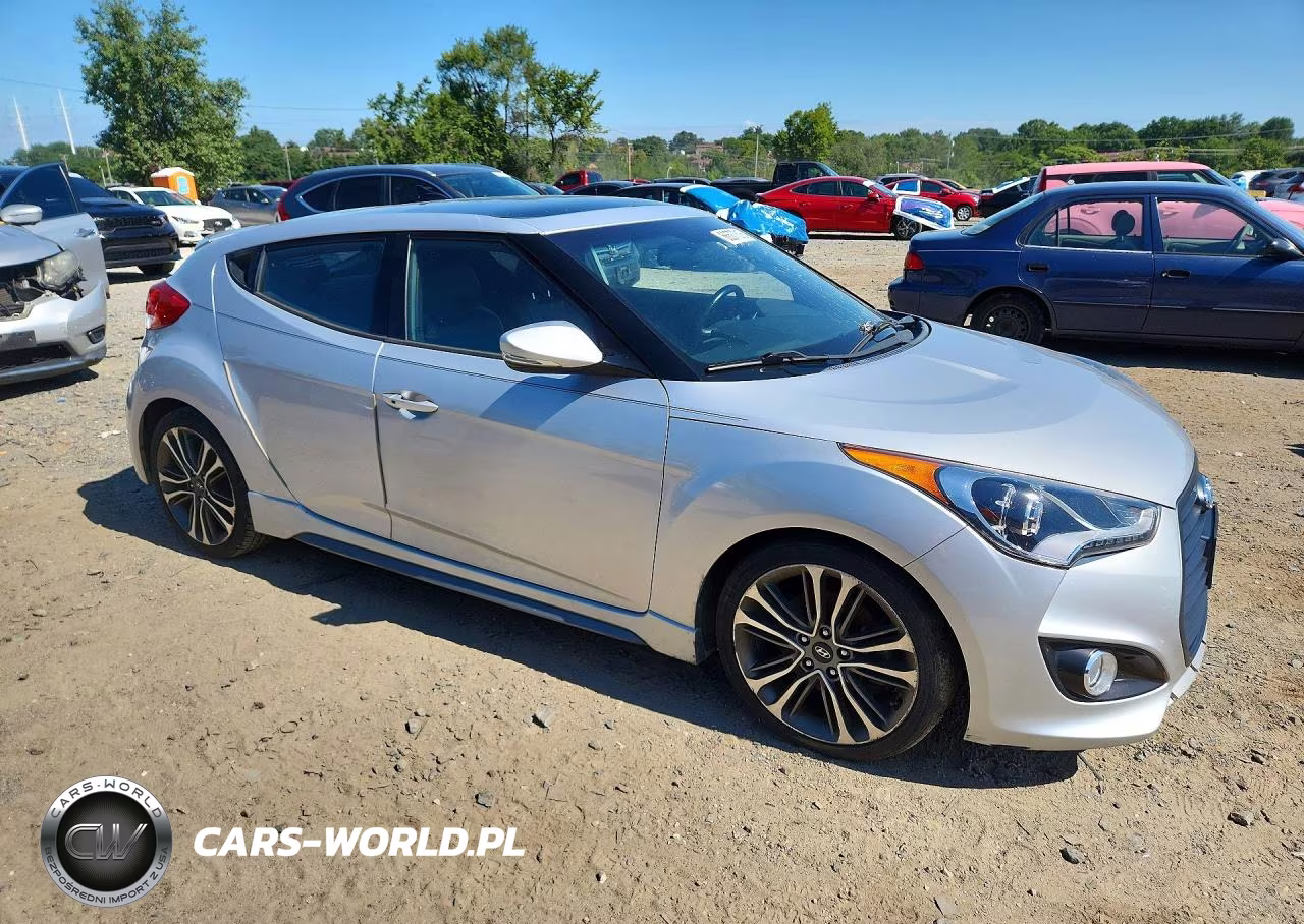 2017 Hyundai Veloster Turbo VIN:KMHTC6AE9HU308494 - 4