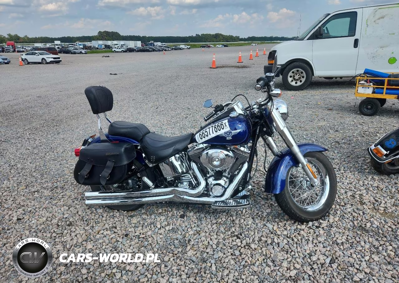 2006 Harley-Davidson Flstfi