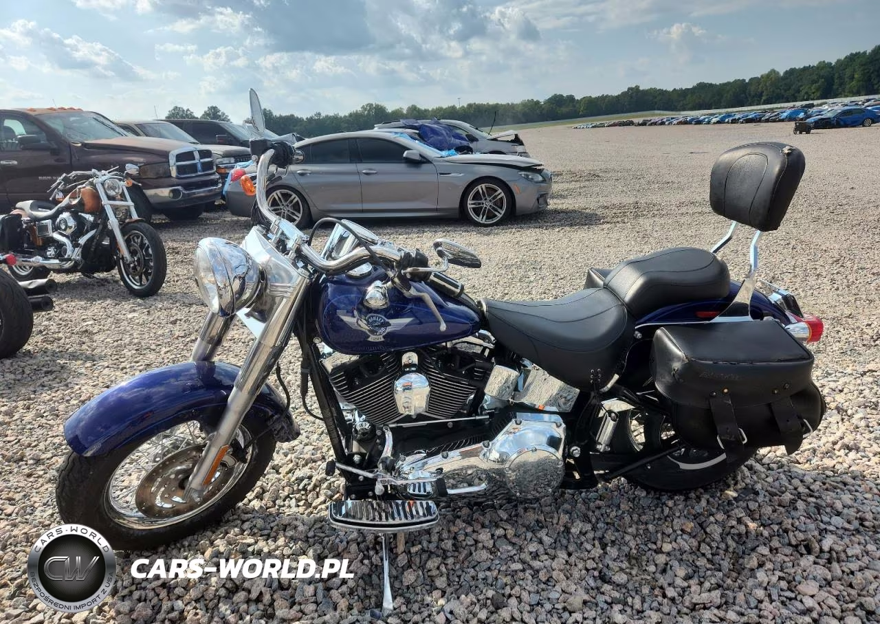 2006 Harley-Davidson Flstfi VIN:1HD1BXB166Y037639 - 3