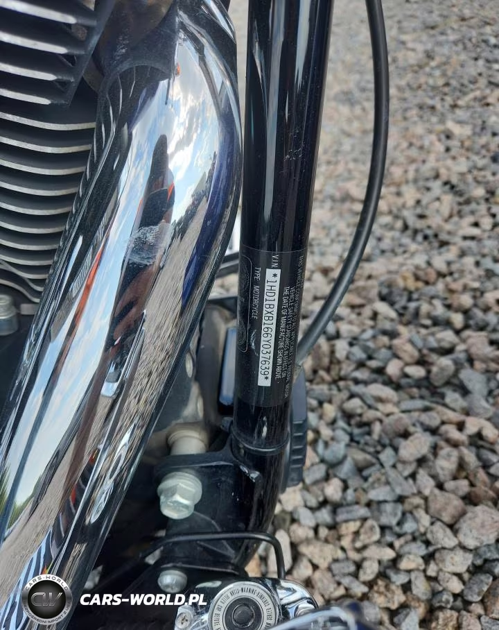 2006 Harley-Davidson Flstfi VIN:1HD1BXB166Y037639 - 9