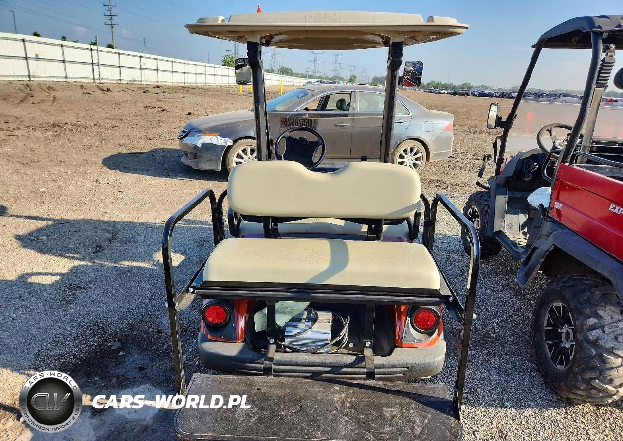 2016 Yamaha Golf Cart VIN:66578526 - 10