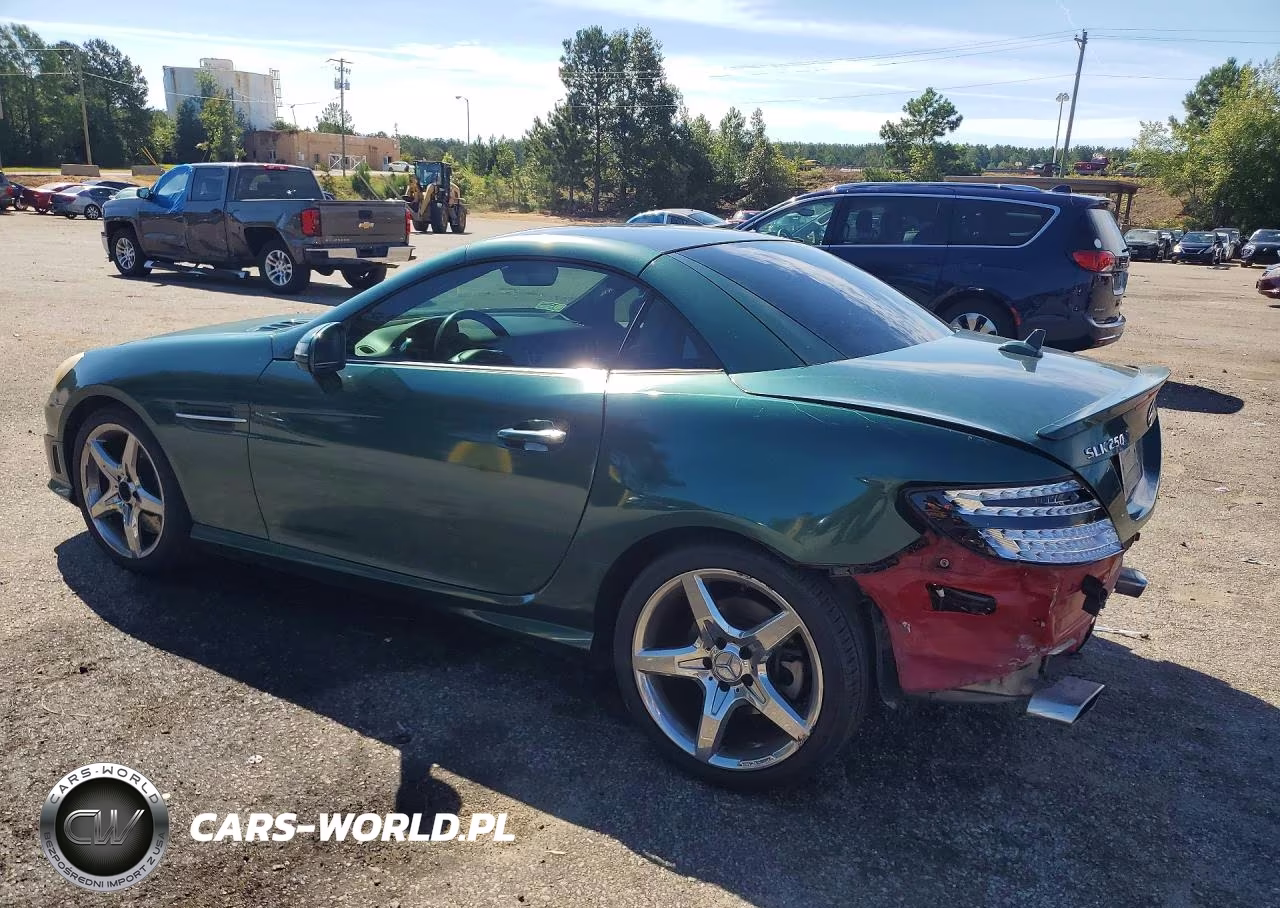 2015 Mercedes-Benz Slk 250 VIN:WDDPK4HA6FF097004 - 2