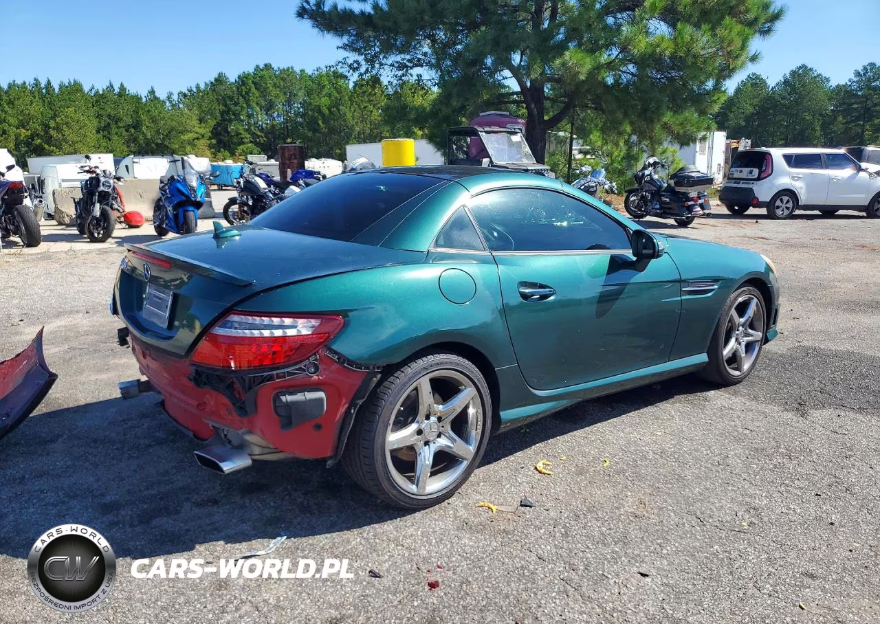 2015 Mercedes-Benz Slk 250 VIN:WDDPK4HA6FF097004 - 3