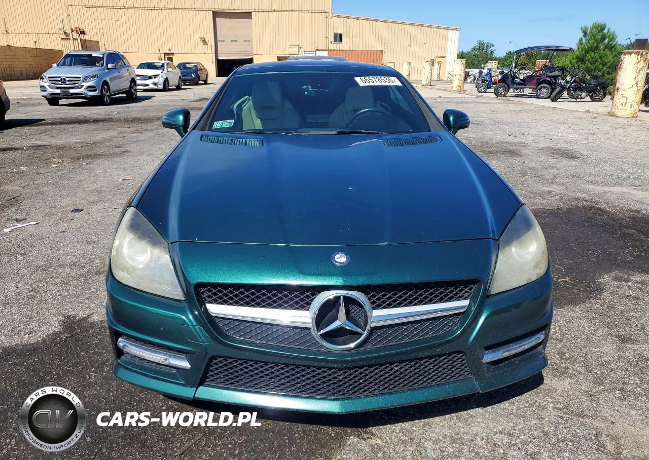 2015 Mercedes-Benz Slk 250 VIN:WDDPK4HA6FF097004 - 5