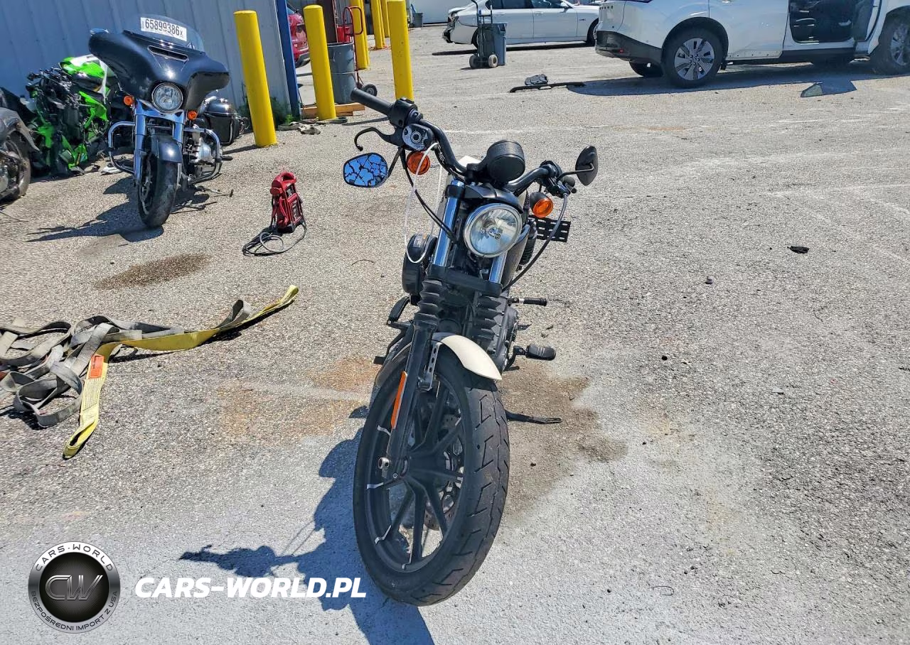 2022 Harley-Davidson Xl883 N VIN:1HD4LE211NB407704 - 2