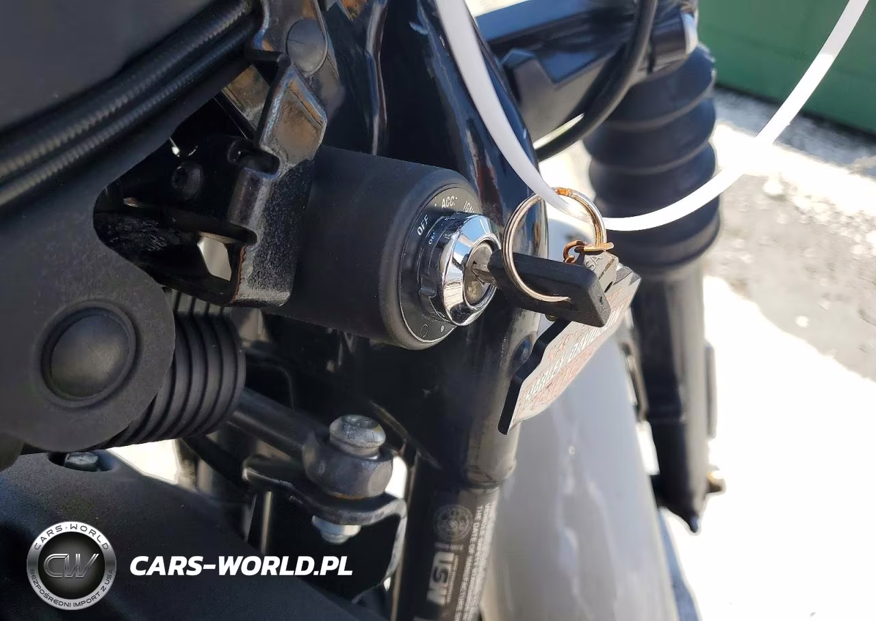 2022 Harley-Davidson Xl883 N VIN:1HD4LE211NB407704 - 8
