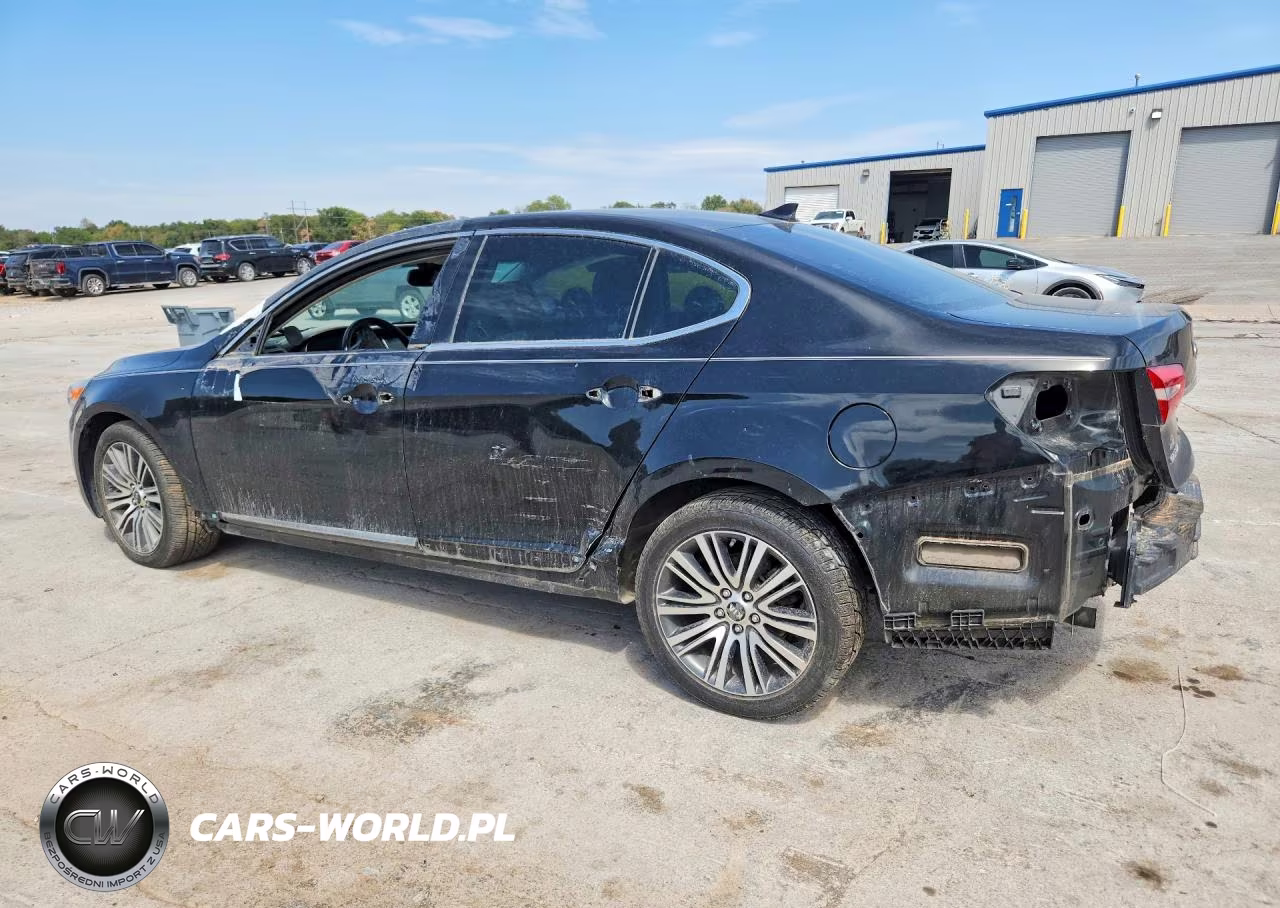 2014 Kia Cadenza Premium VIN:KNALN4D76E5149047 - 2
