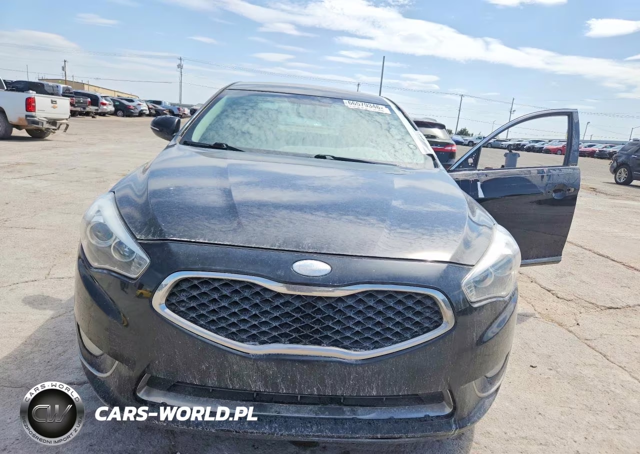 2014 Kia Cadenza Premium VIN:KNALN4D76E5149047 - 5