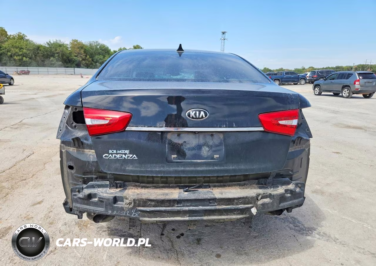 2014 Kia Cadenza Premium VIN:KNALN4D76E5149047 - 6