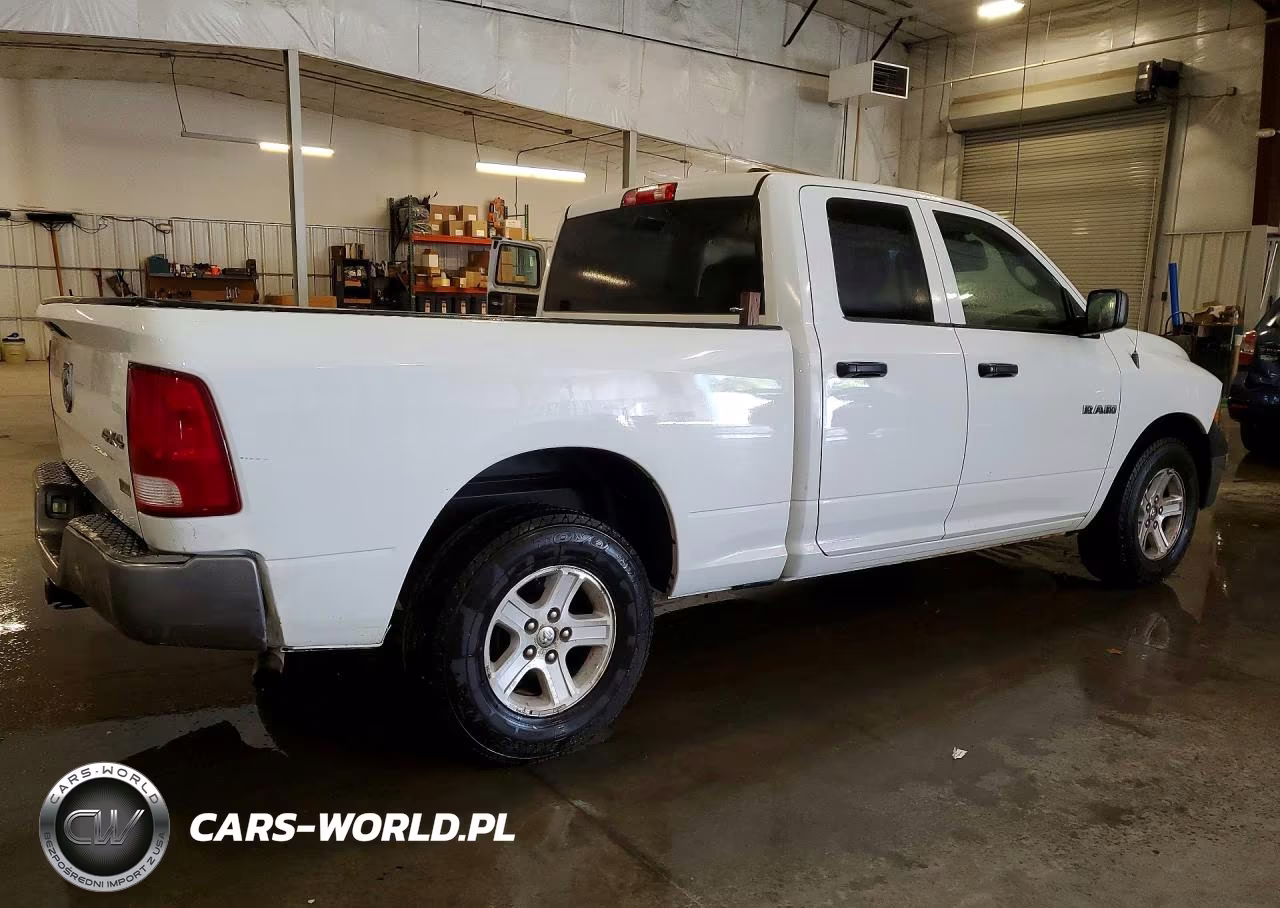 2010 Dodge Ram 1500 VIN:1D7RV1GP6AS236083 - 3
