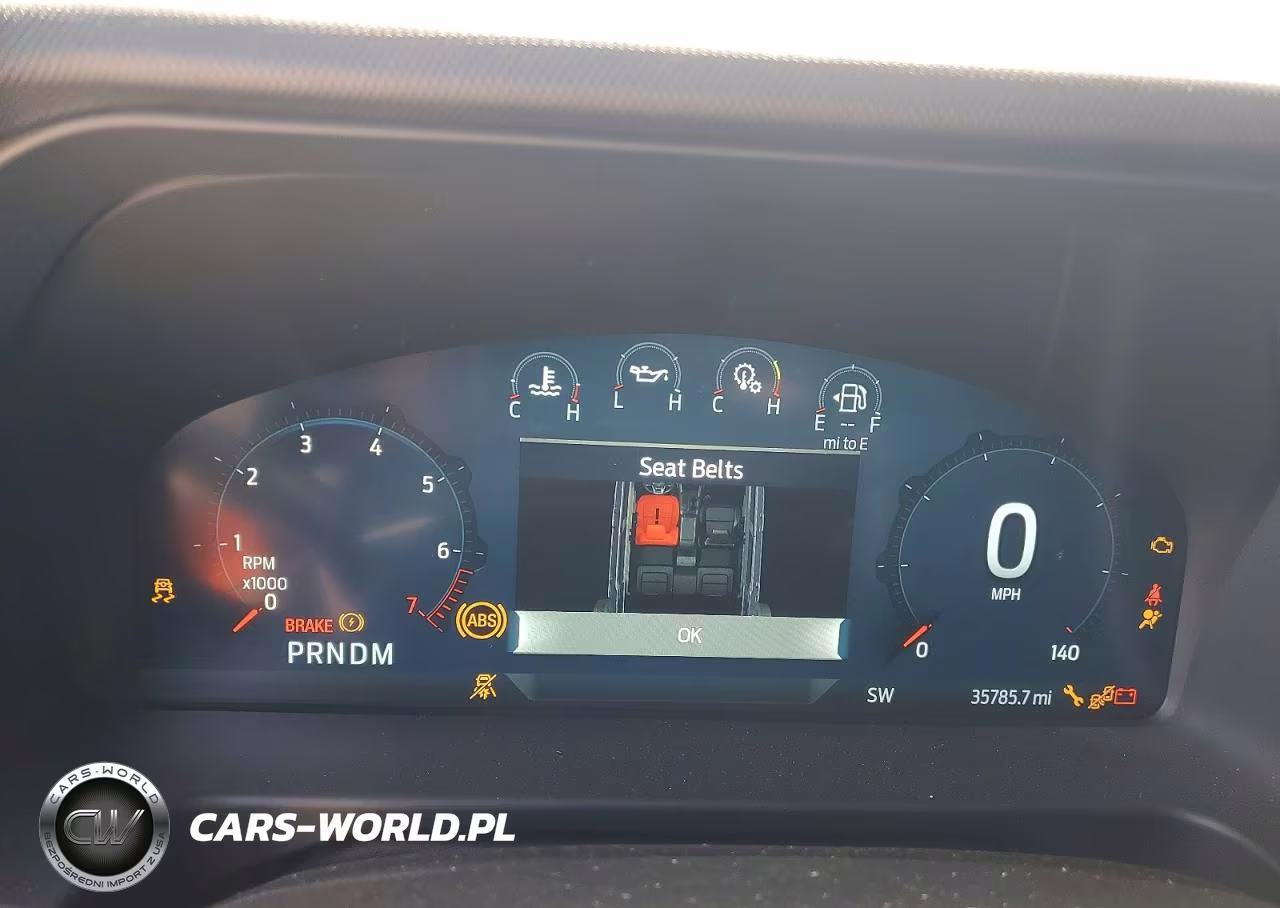 2024 Ford Bronco Raptor VIN:1FMEE0RR0RLB33678 - 9