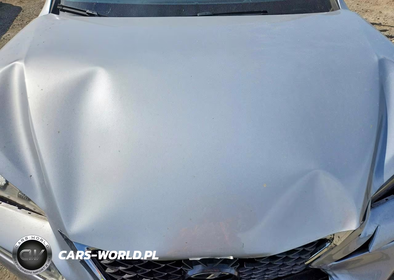 2016 Lexus Nx 200T F Sport VIN:JTJYARBZXG2030828 - 12