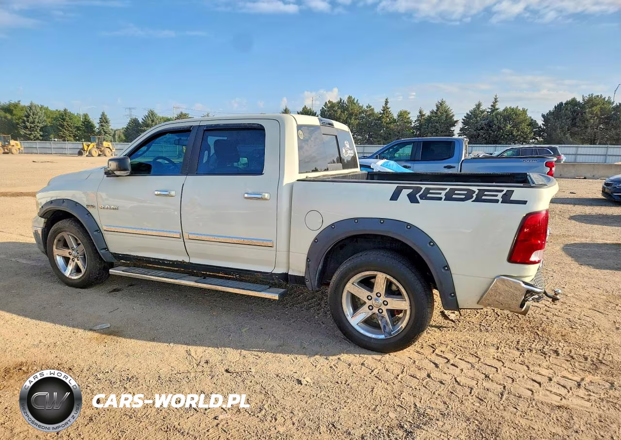 2010 Dodge Ram 1500 VIN:1D7RV1CT7AS227539 - 2