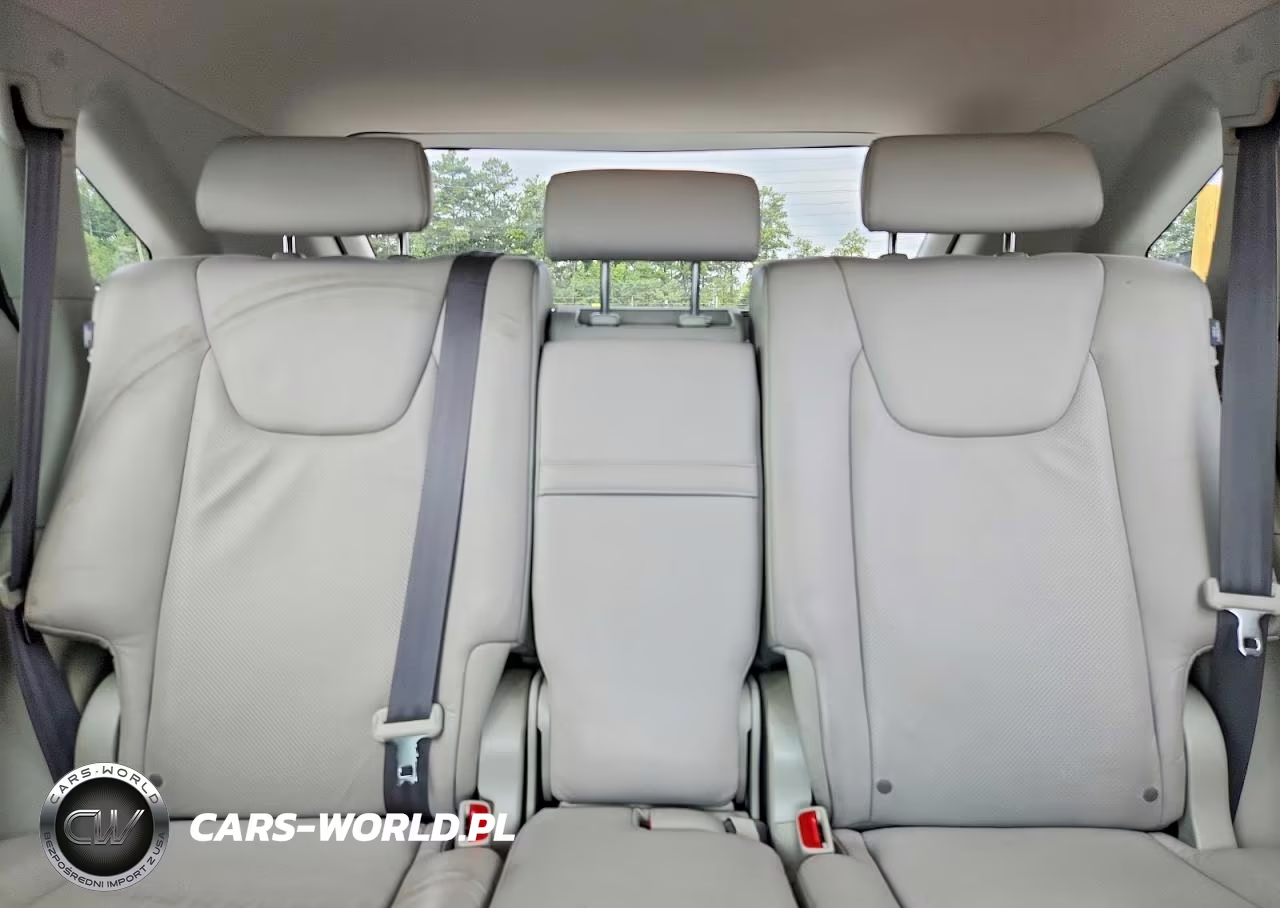 2010 Lexus Rx 350 VIN:JTJZK1BA7A2400248 - 10