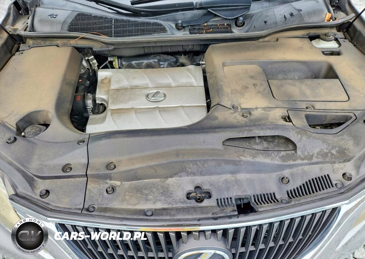 2010 Lexus Rx 350 VIN:JTJZK1BA7A2400248 - 12