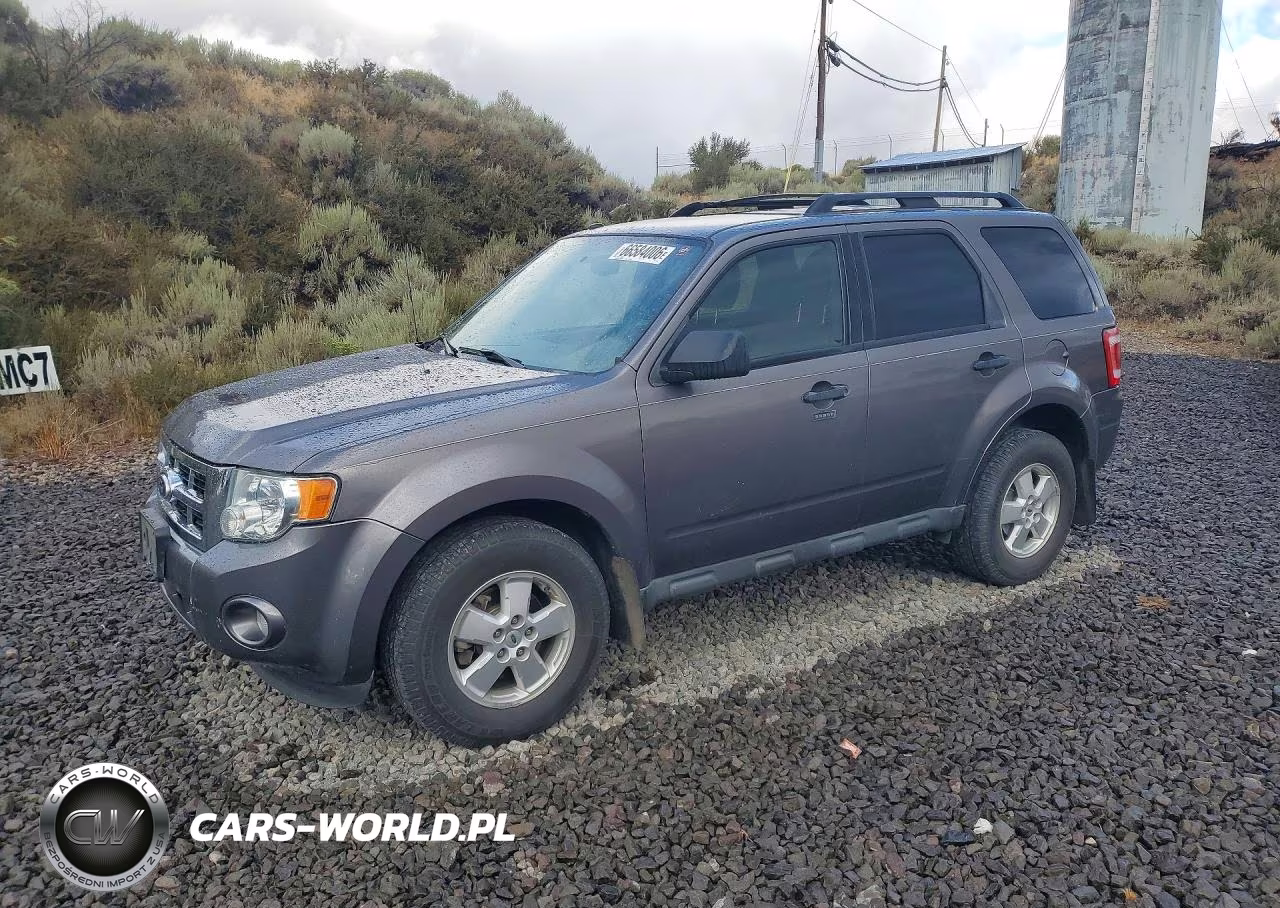 2010 Ford Escape Xlt