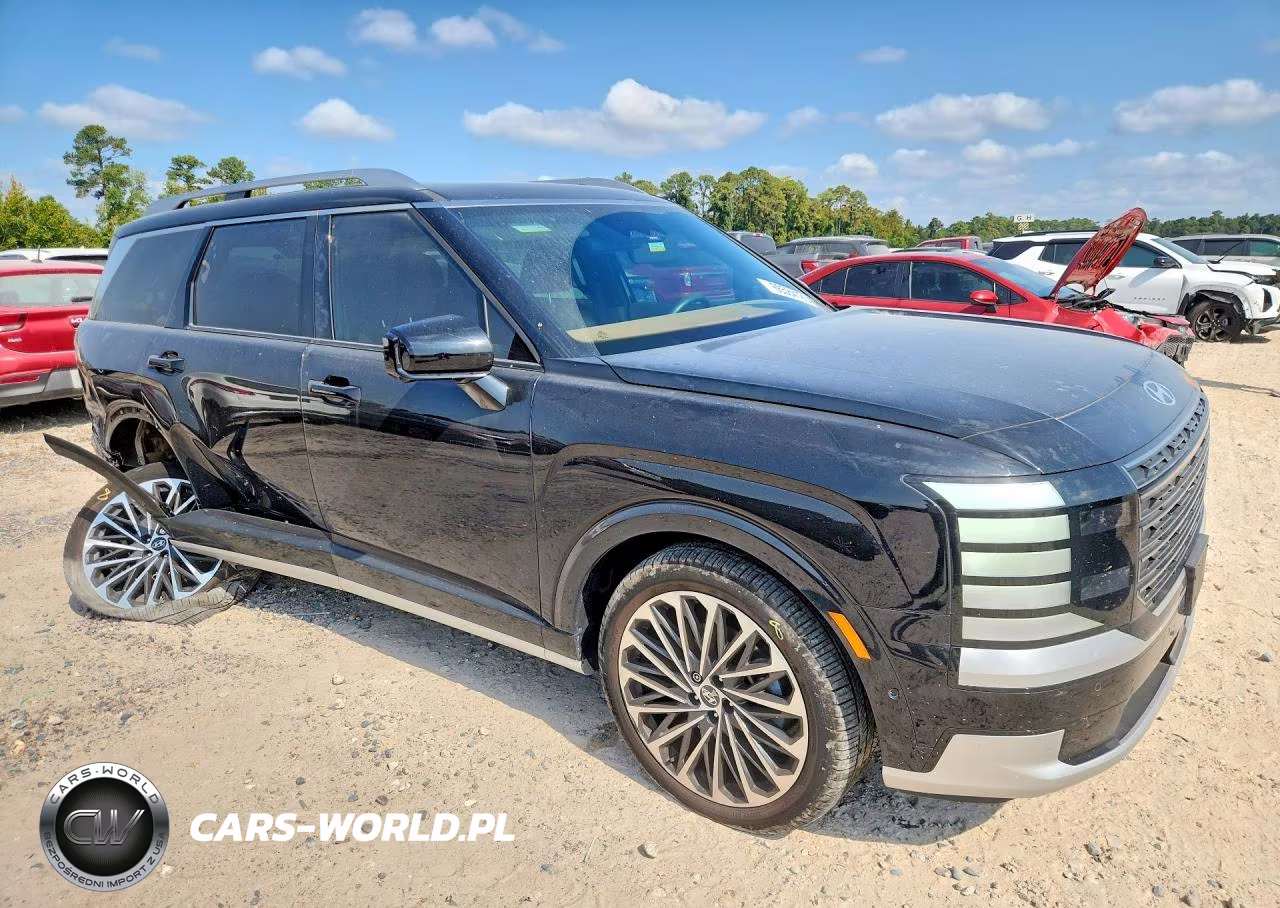 2026 Hyundai Palisade Calligraphy VIN:KM8RMESA4TU041741 - 4
