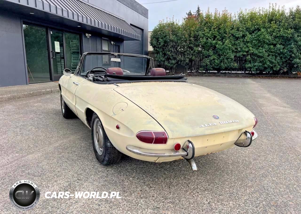 1969 Alfa Duetto Con VIN:AR1480400 - 3