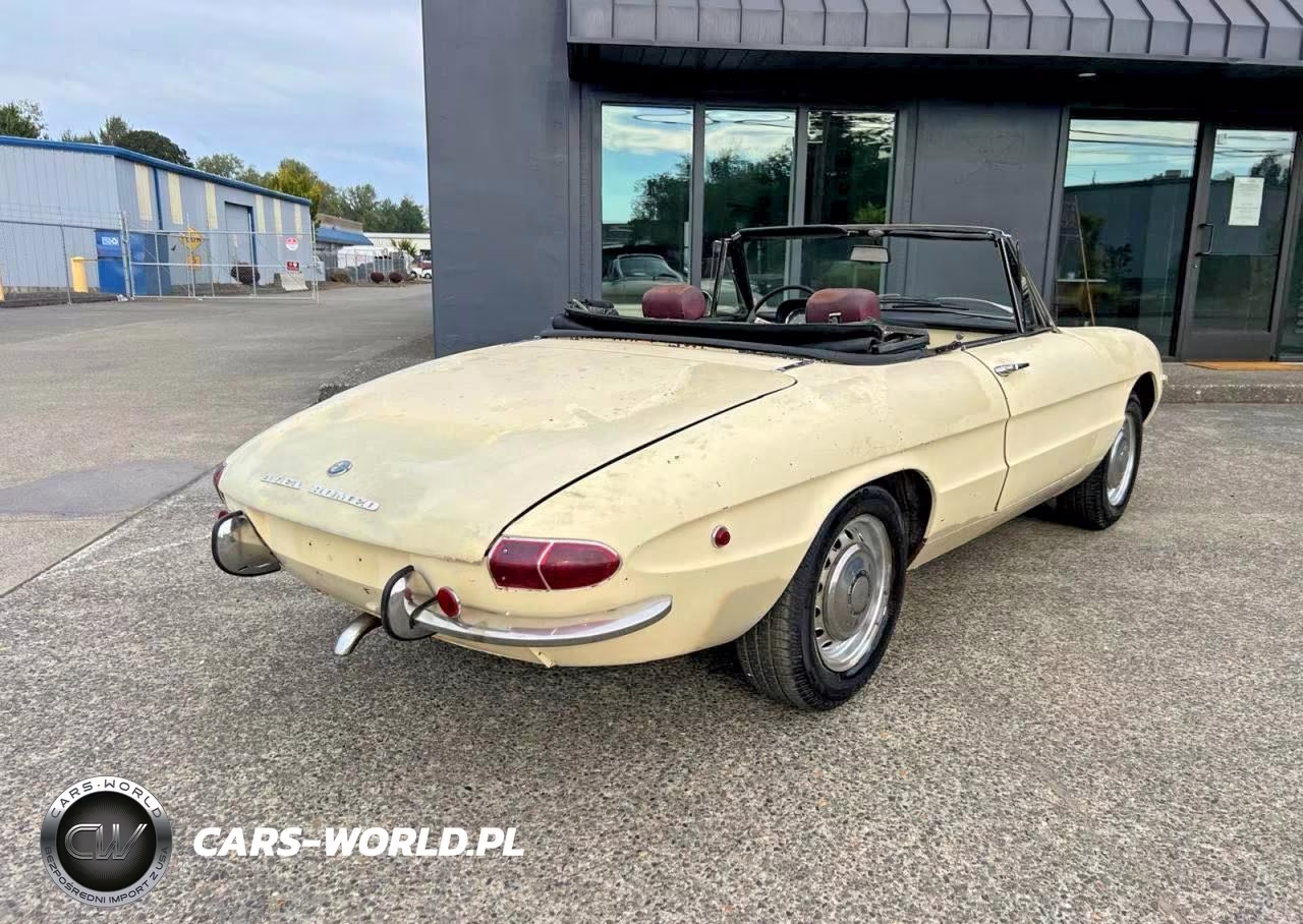 1969 Alfa Duetto Con VIN:AR1480400 - 4