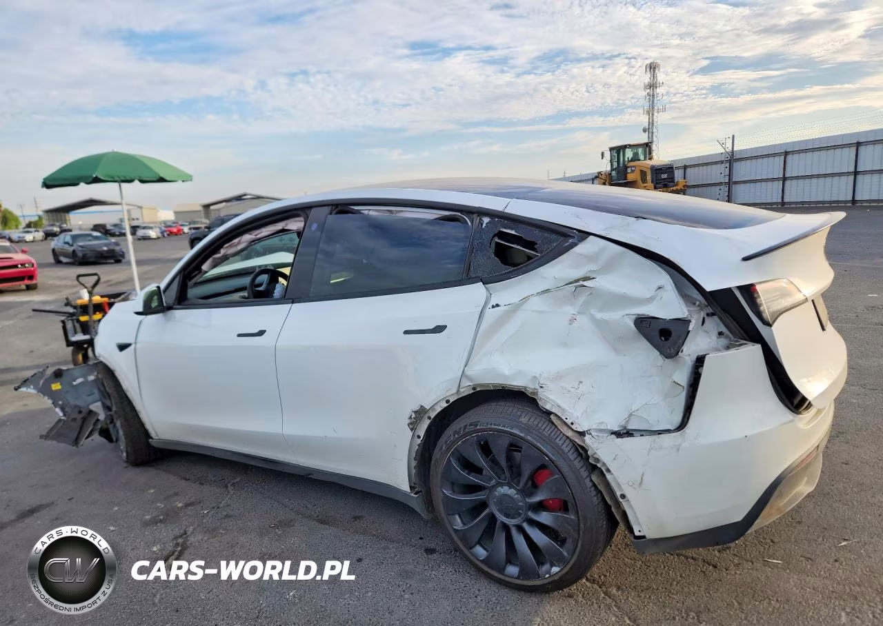 2022 Tesla Model Y VIN:7SAYGDEF8NF406624 - 2
