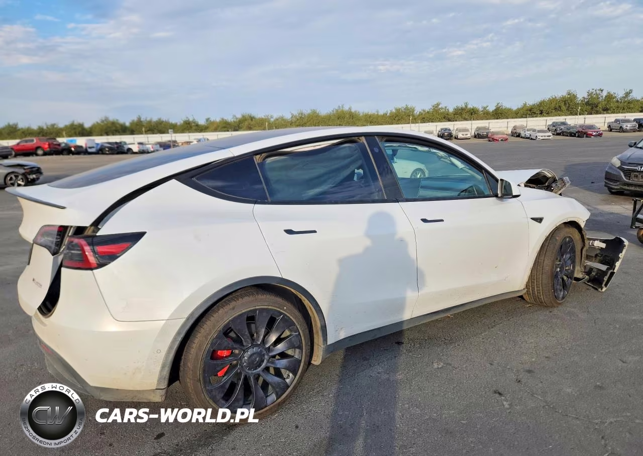 2022 Tesla Model Y VIN:7SAYGDEF8NF406624 - 3