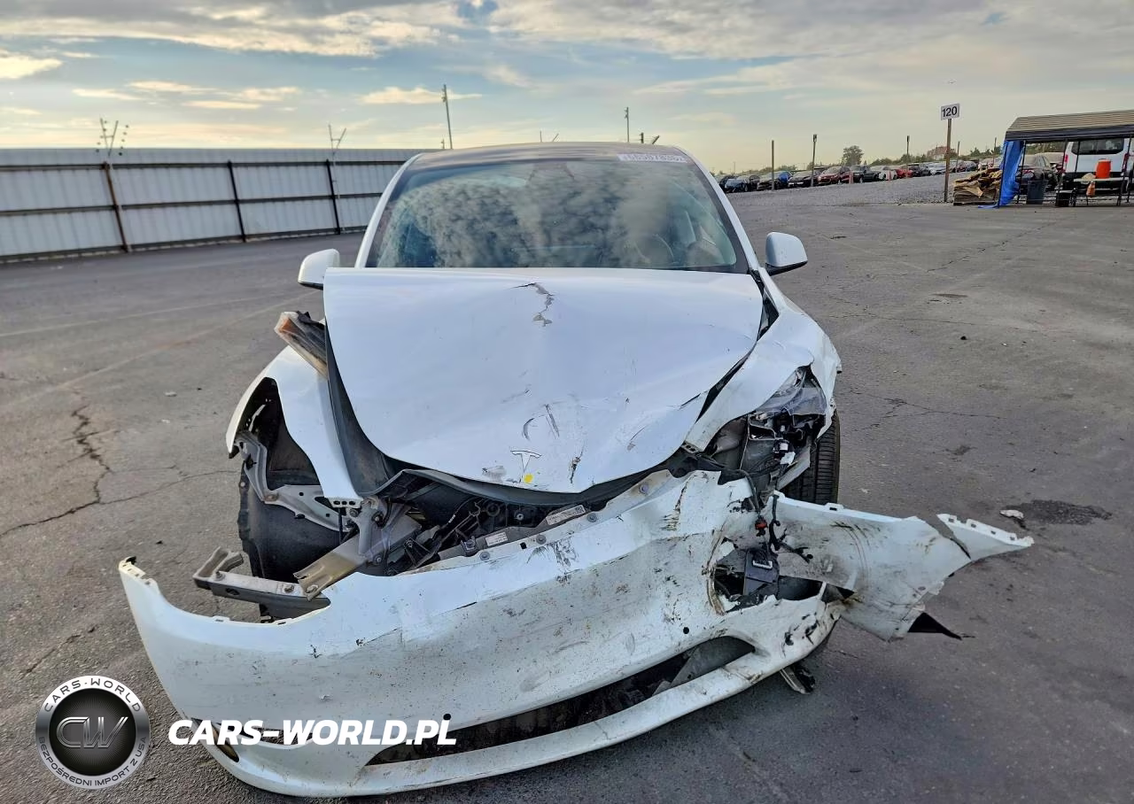 2022 Tesla Model Y VIN:7SAYGDEF8NF406624 - 5
