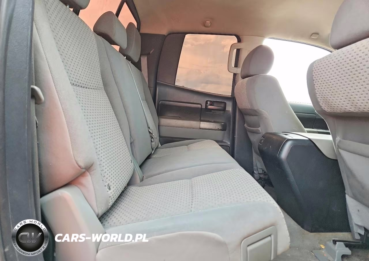 2010 Toyota Tundra Double Cab Sr5 VIN:5TFUM5F11AX007339 - 10