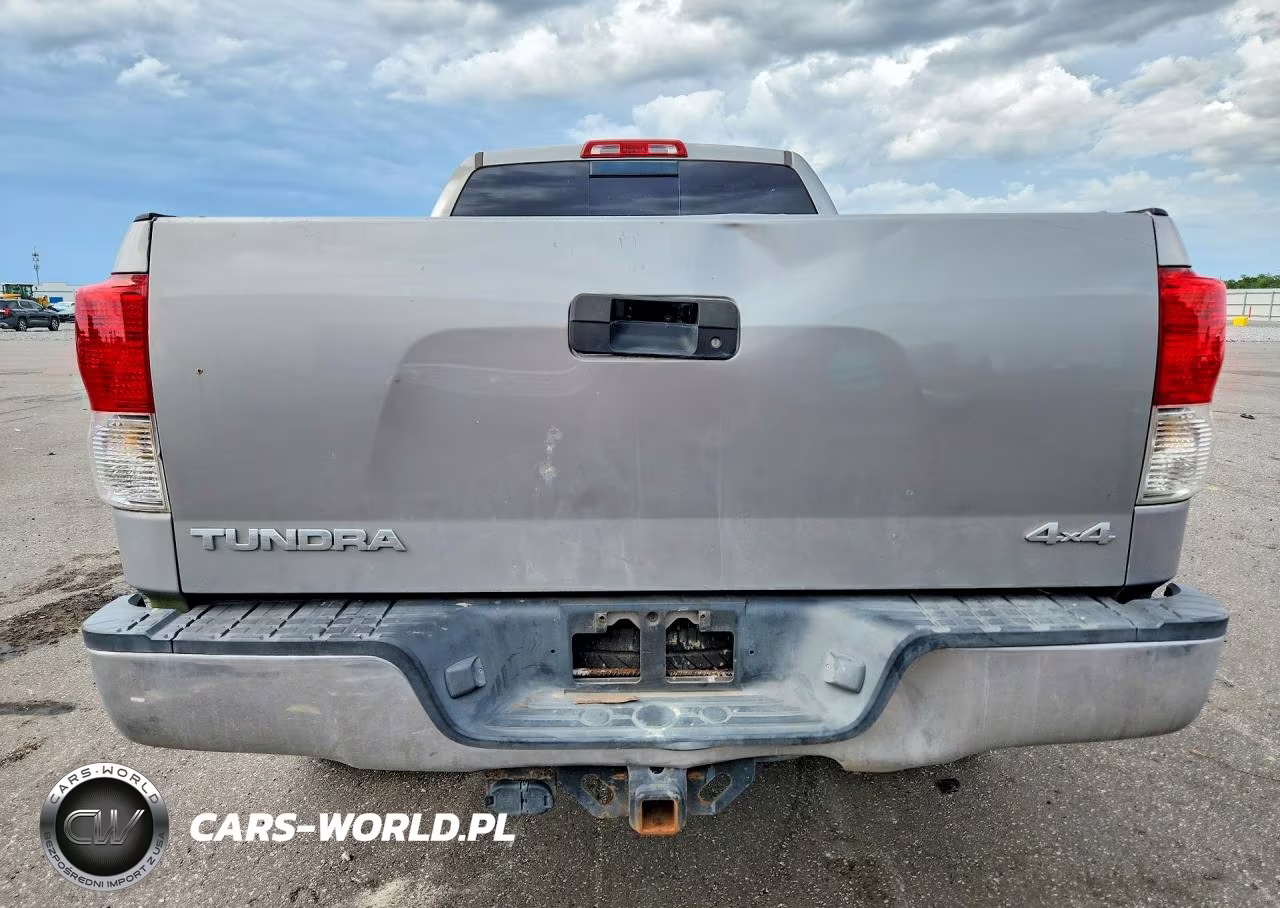 2010 Toyota Tundra Double Cab Sr5 VIN:5TFUM5F11AX007339 - 6