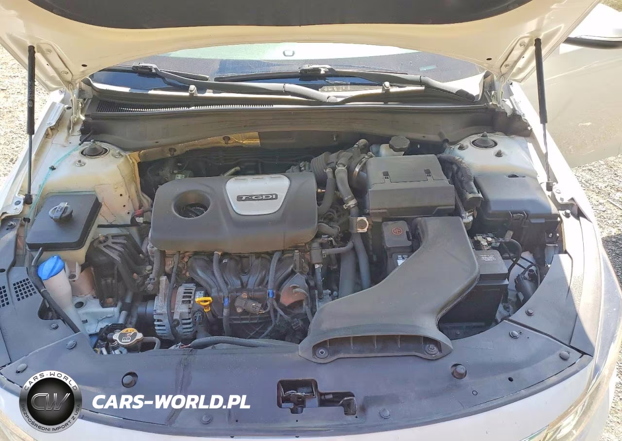 2020 Kia Optima Ex VIN:5XXGU4L16LG418144 - 11