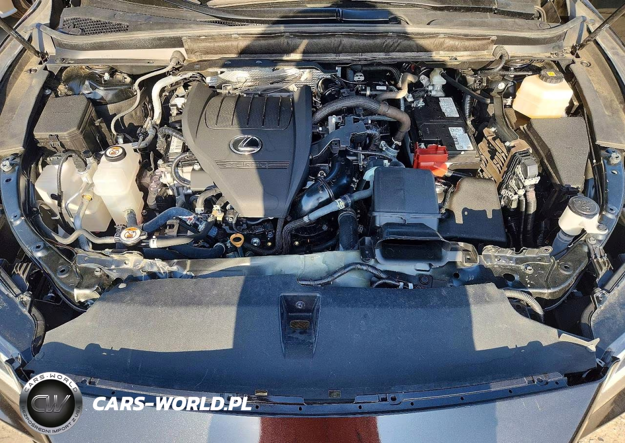 2025 Lexus Rx 350 Premium Plus VIN:2T2BAMBA6SC054944 - 12