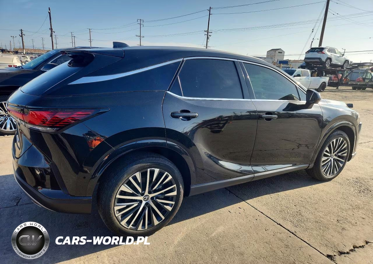 2025 Lexus Rx 350 Premium Plus VIN:2T2BAMBA6SC054944 - 3