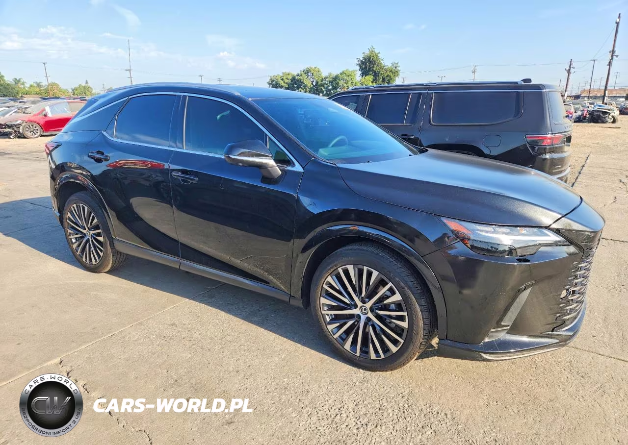 2025 Lexus Rx 350 Premium Plus VIN:2T2BAMBA6SC054944 - 4