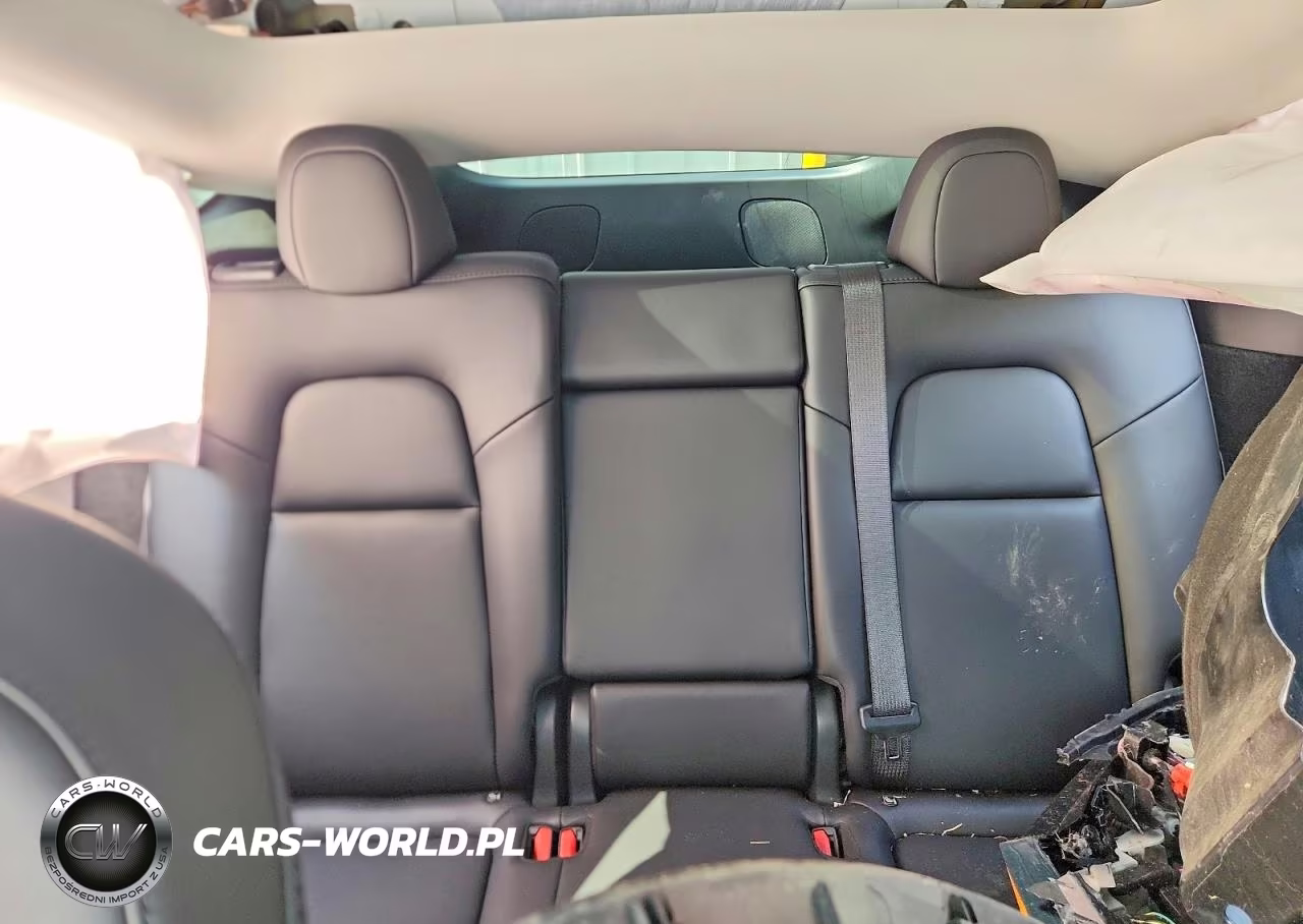 2024 Tesla Model Y VIN:7SAYGDEE7RF031659 - 10