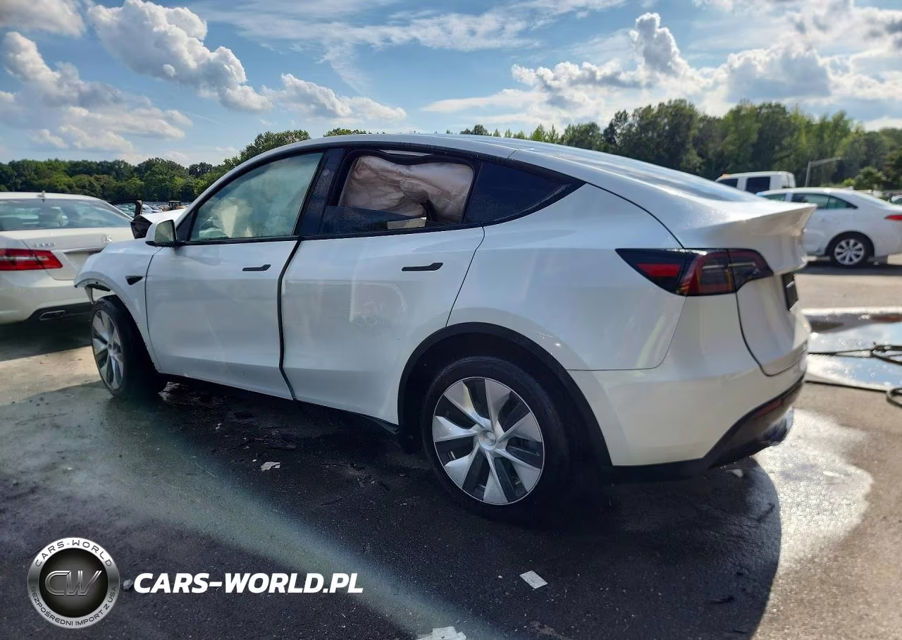 2024 Tesla Model Y VIN:7SAYGDEE7RF031659 - 2