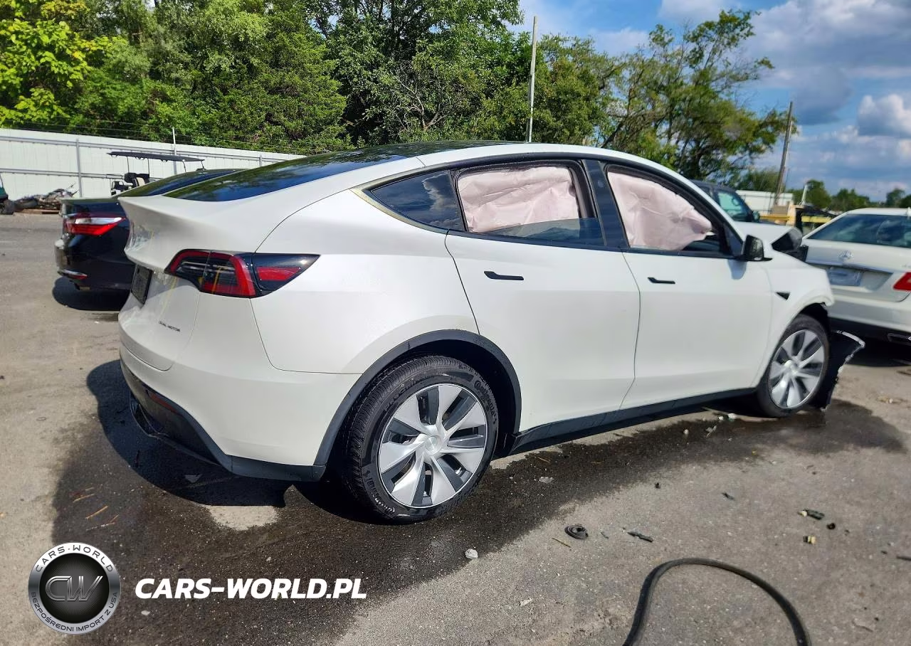 2024 Tesla Model Y VIN:7SAYGDEE7RF031659 - 3