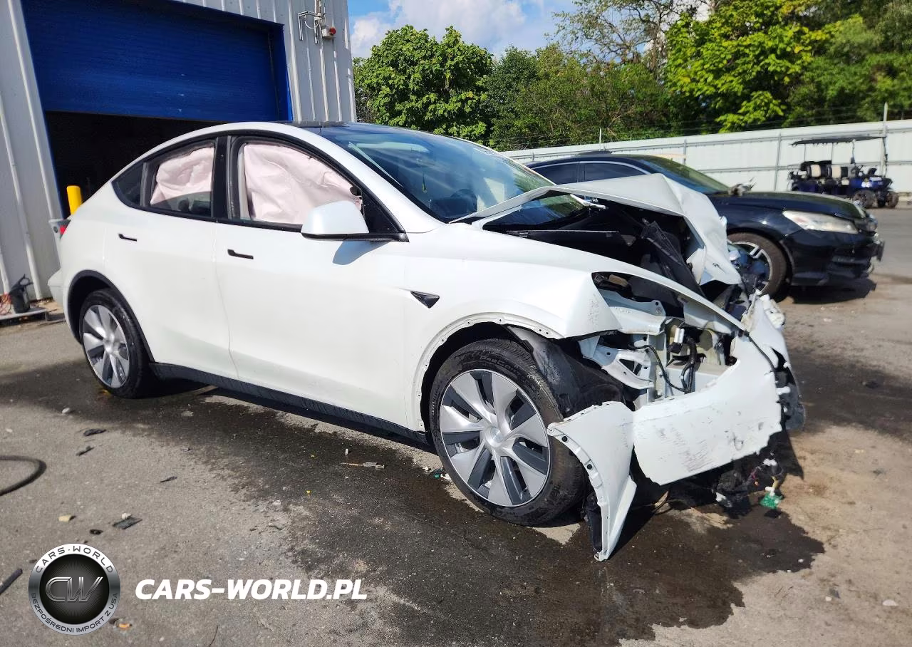 2024 Tesla Model Y VIN:7SAYGDEE7RF031659 - 4