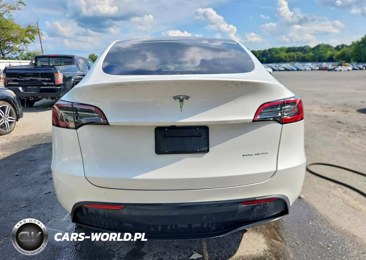 2024 Tesla Model Y VIN:7SAYGDEE7RF031659 - 6