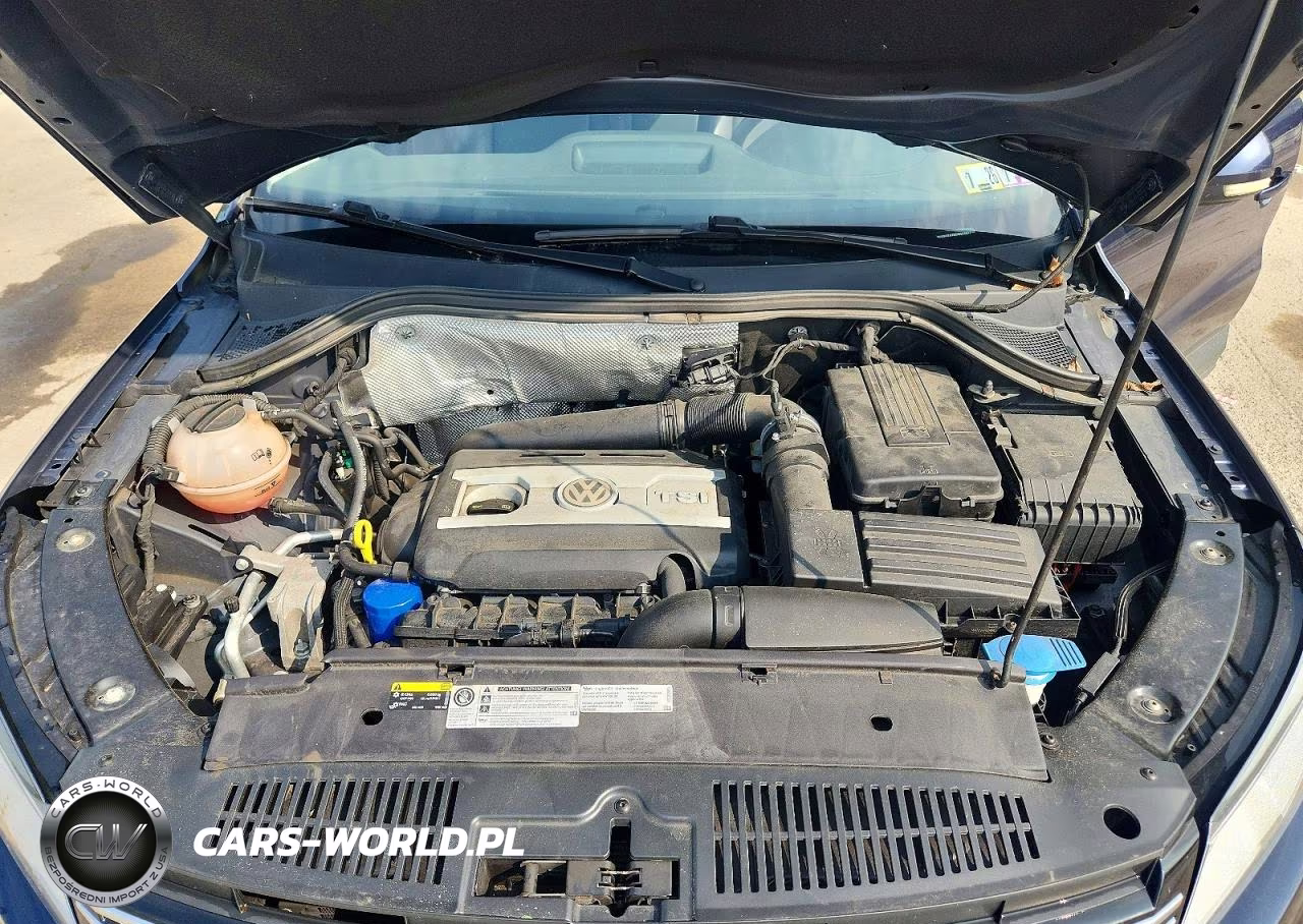 2016 Volkswagen Tiguan S VIN:WVGBV7AX8GW578512 - 12