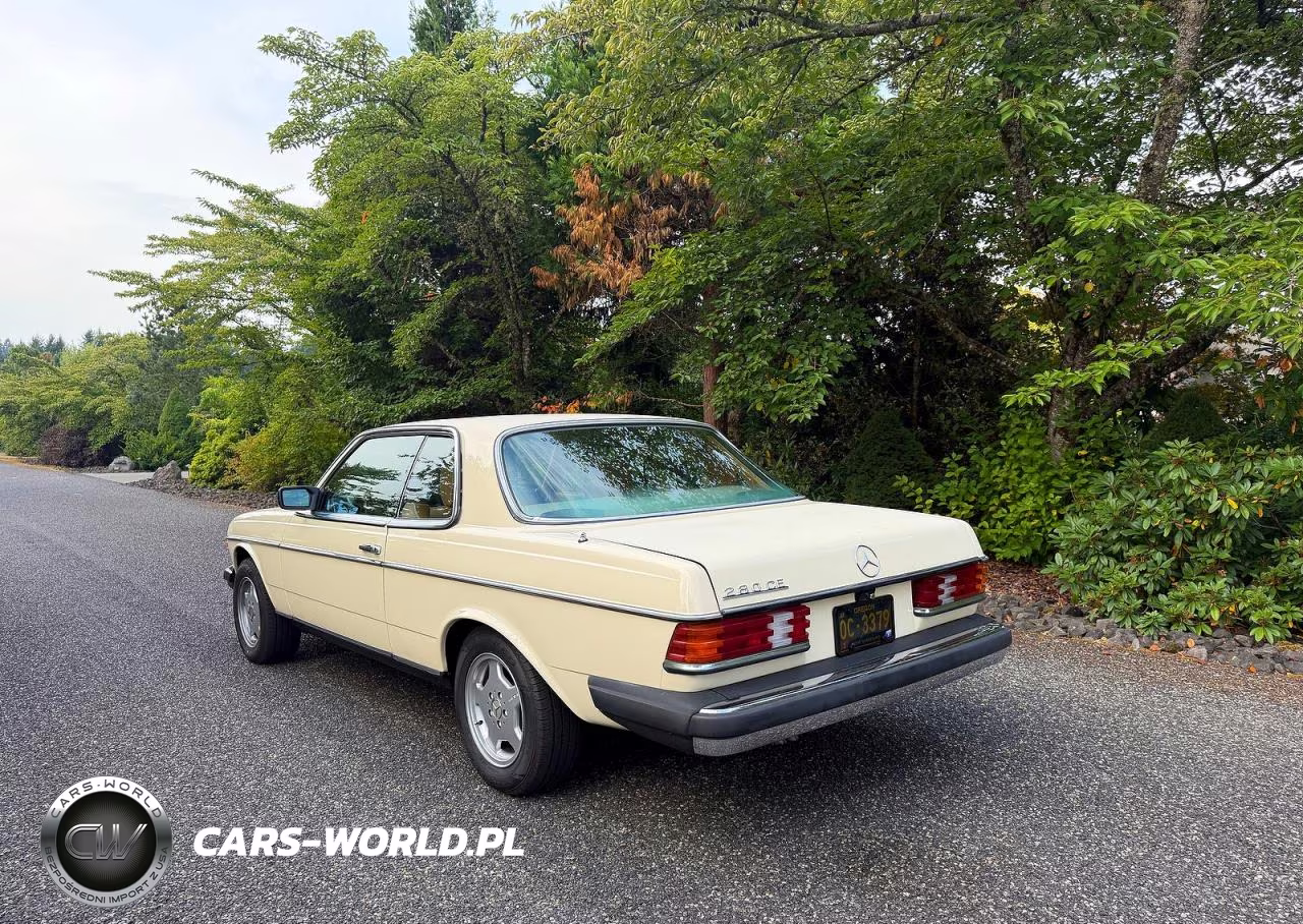 1978 Mercedes-Benz 280Ce VIN:12305312008767 - 3