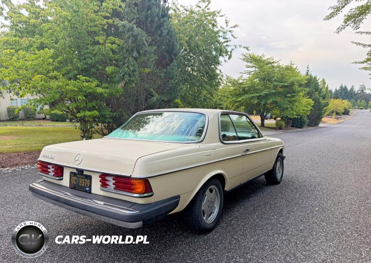 1978 Mercedes-Benz 280Ce VIN:12305312008767 - 4