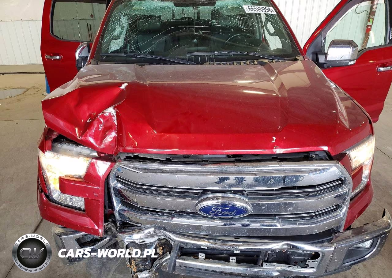 2017 Ford F150 Supercrew VIN:1FTEW1EG4HKC62314 - 11