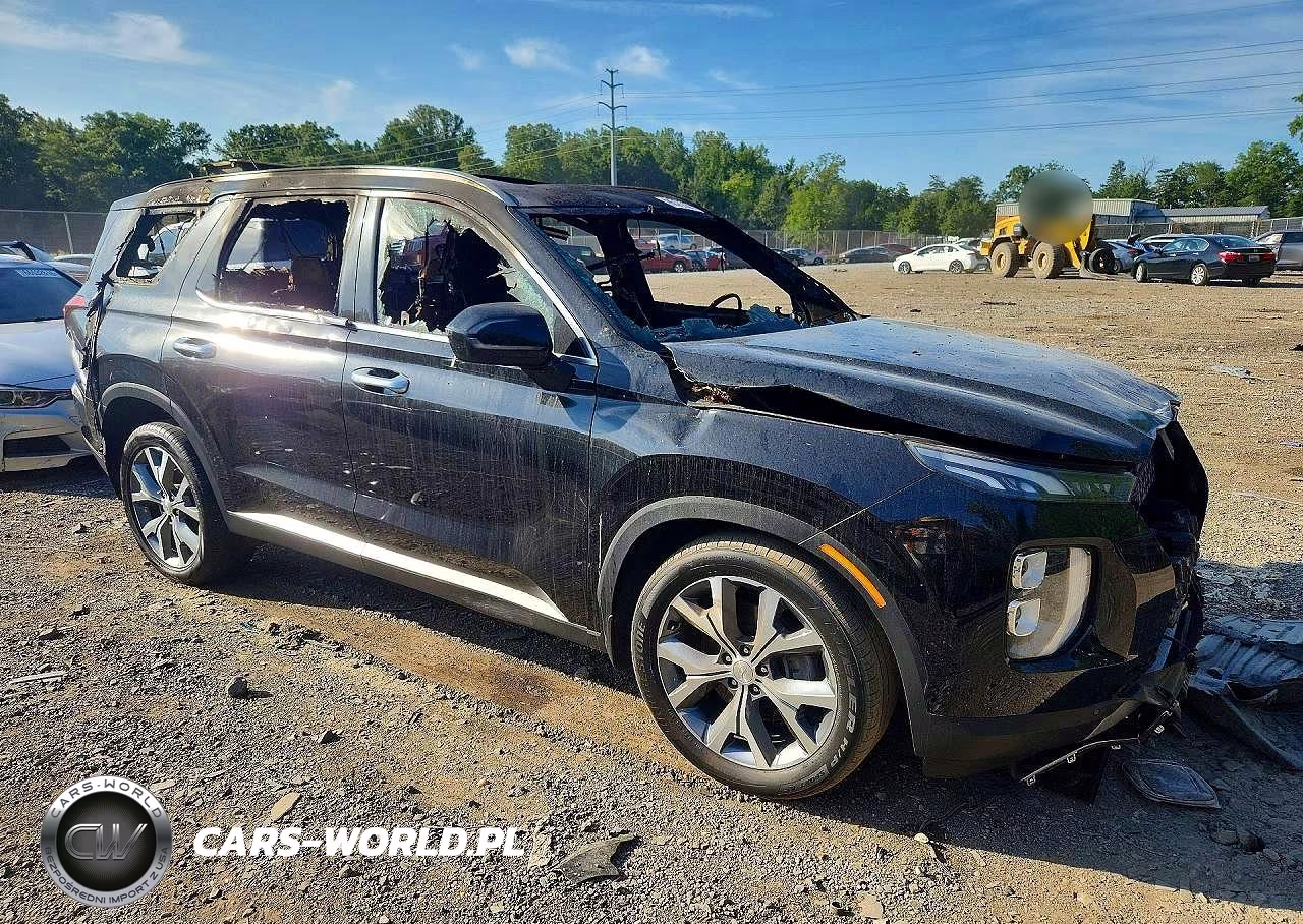 2020 Hyundai Palisade Sel VIN:KM8R3DHE7LU074675 - 4