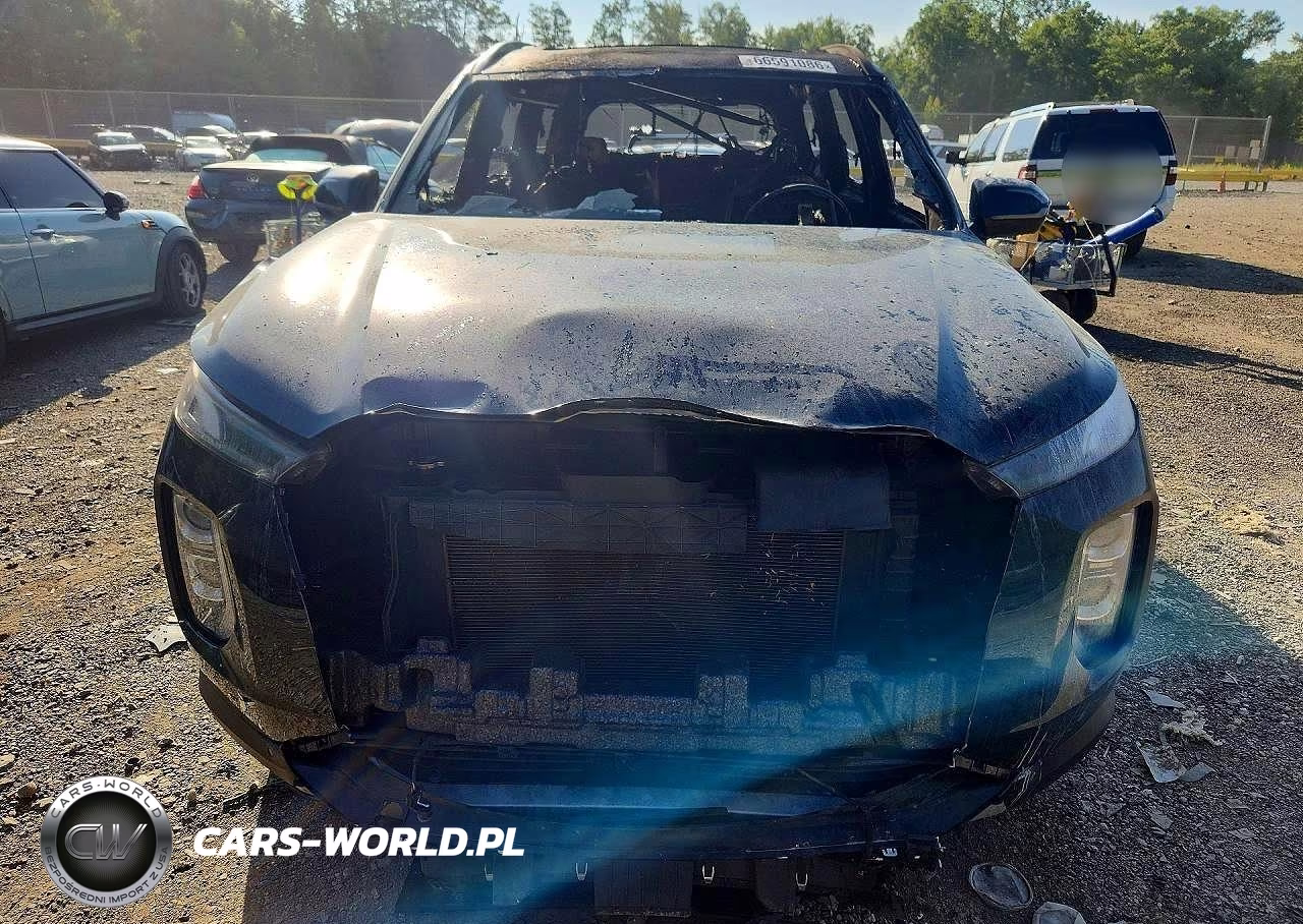 2020 Hyundai Palisade Sel VIN:KM8R3DHE7LU074675 - 5