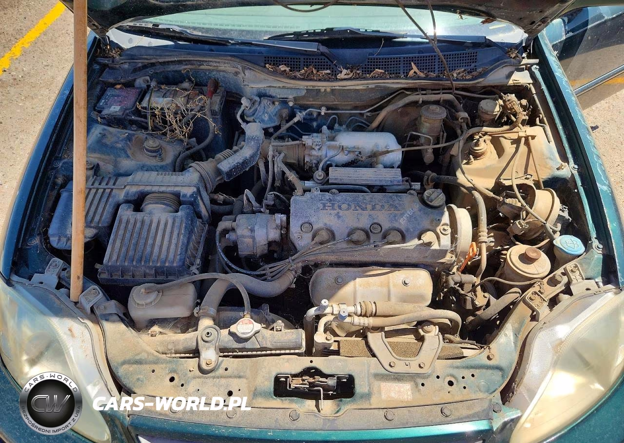 1999 Honda Civic Ex VIN:1HGEJ8141XL079031 - 11
