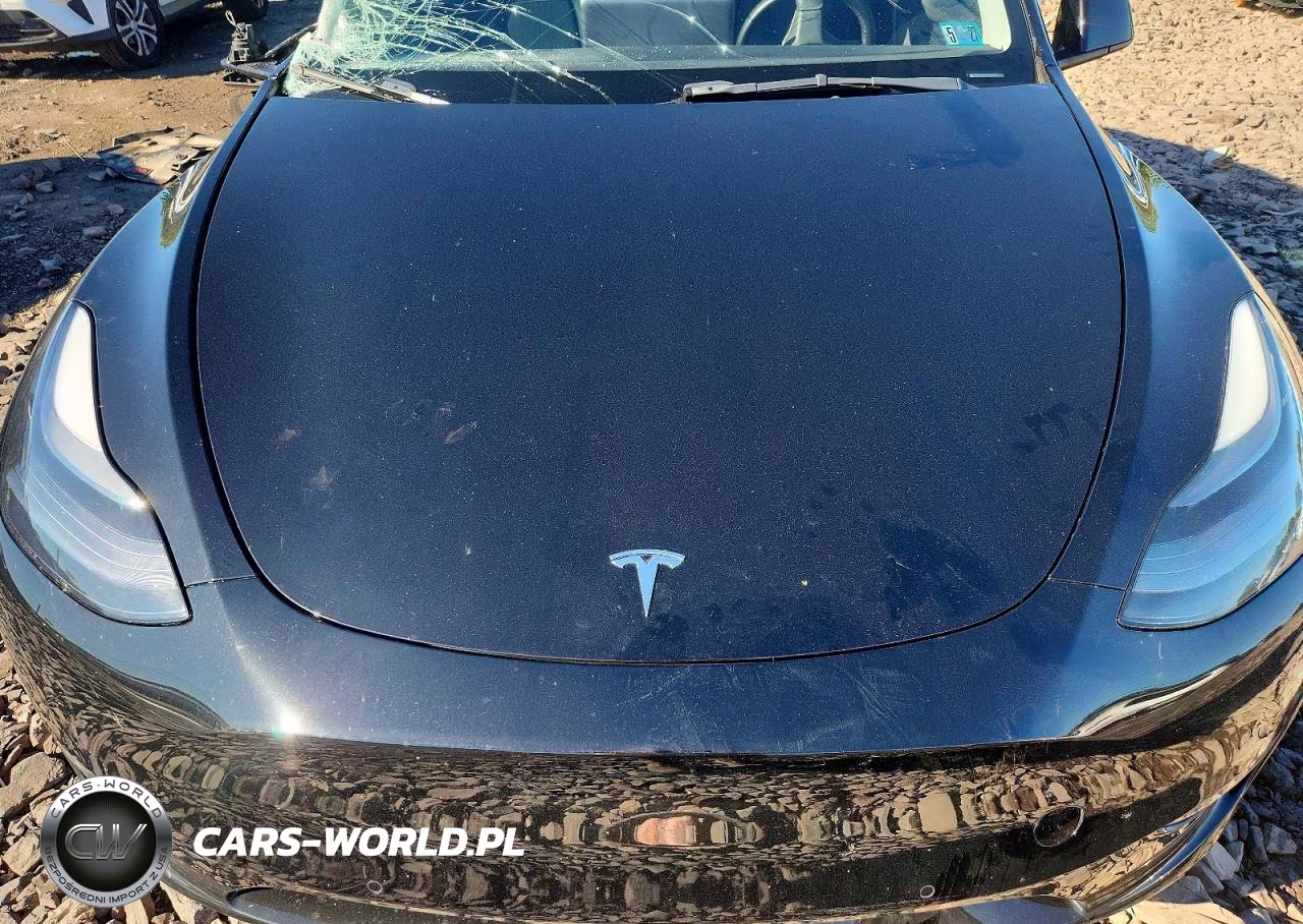2022 Tesla Model Y VIN:7SAYGDEF1NF530265 - 11